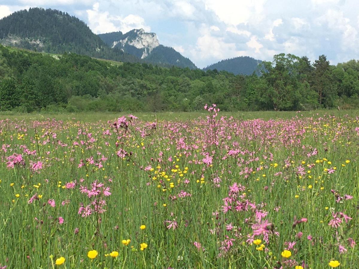 Hotel Penzion Roal Pieniny à Spisska Stara Ves Extérieur photo